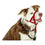 V8H788AC3002206FDEFEA4ACDC1D16FD586R2351227P3