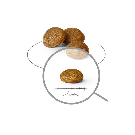 V3H7643E7AFF2168398659F87D6A468D018R6010266P3