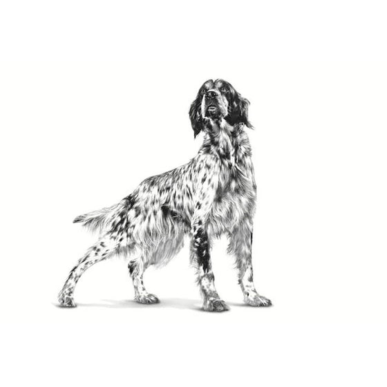 V4HF9E76E1422B11AB95579973649C52D87R5375090P3