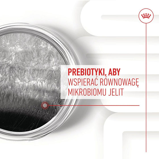 V3H0EF95C552E76EDF64FCEFF4AE47DD9F0R5624718P9