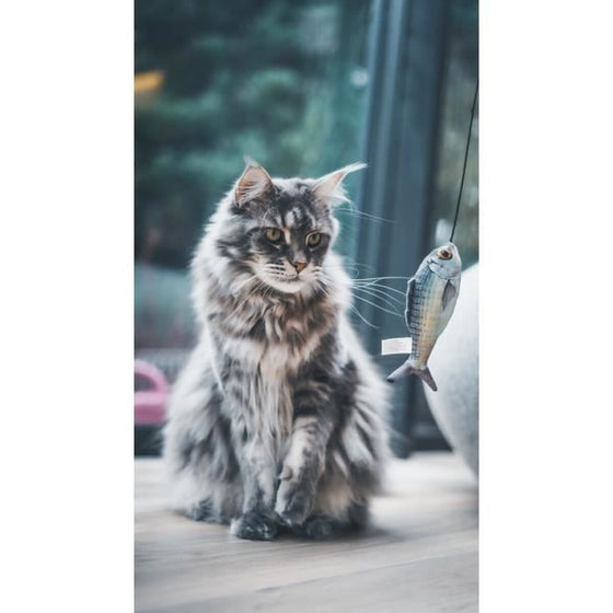 V2HB010CBA1A02F61A6347F3B5D8323C5CCR7436891P3