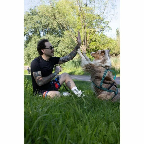 V4H6CFD2BB88B8917B84CD09403FDF8101BR5293574P6