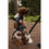V4HDED7BB8DA7072AD1F67A221180BFA09AR5293568P3