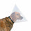 V4H4F06E2C2805509DB5FDA54ADCE0601E2R5331674P4