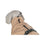 V2H2E511781CBCC59C9C7D8BAF71BD7BFE1R7461900P9