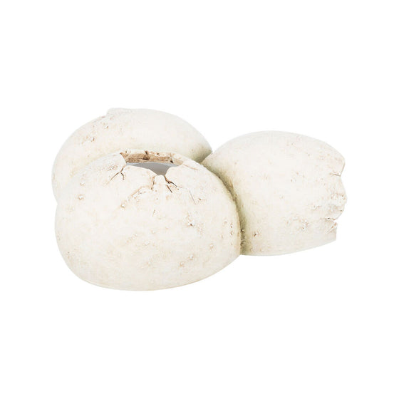 V4H2B49CA23DF35B2E2AAF07AFE9F050630R7455720P5