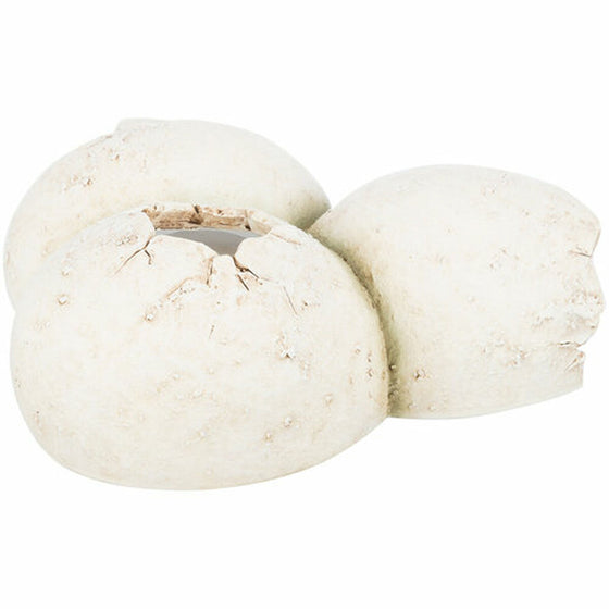 V4H798669F561A8057236112B8A40AFF6B3R7455724P6