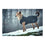 V9H6EFE09975CD097728866BCC7615C4BACR3618583P7