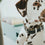 V11H2A3C1970275AE6CE8FE9A6E6D17ADFEER7732406P6