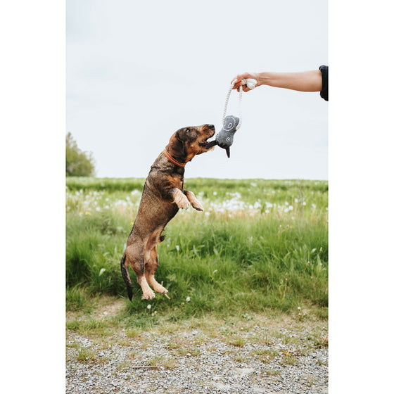 V3HD02842968CB81FCC1D78484E79519A1CR5574760P3