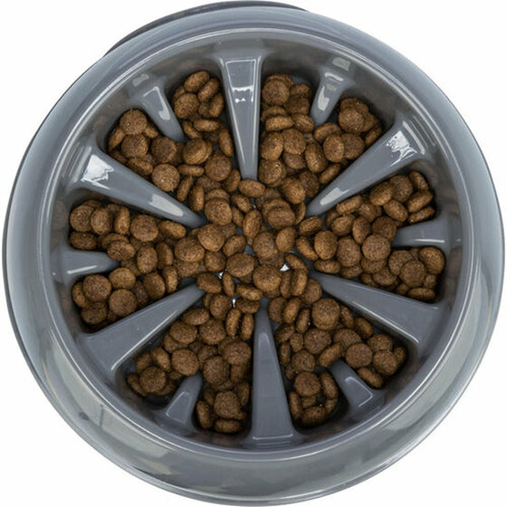 V5H3F4CACC658292EBEF97AD53BC06AD1BAR7455431P6