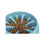 V5HAEBAF421BE50A37A0DEAC030B361F616R7455436P7