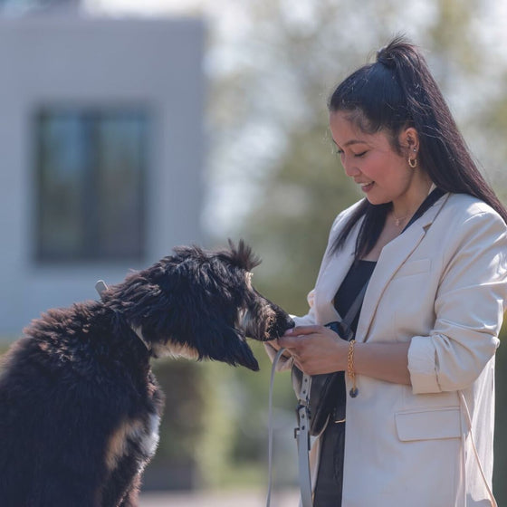 V5H70B37E5F54ED78698F36FECFCFE80FD5R5330514P6