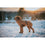 V3HB6712CC06A9EA98449FAB5CE036120F3R5575893P5