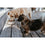 V3H54D2204EBBA87B28BB343B6689ED2BD7R5587765P5