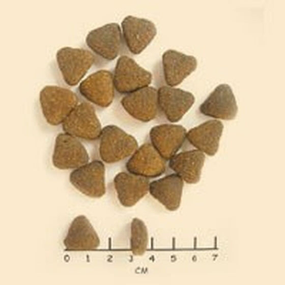 V3H57D50AD62D34411879ECFA0837A1A994R6454195P2