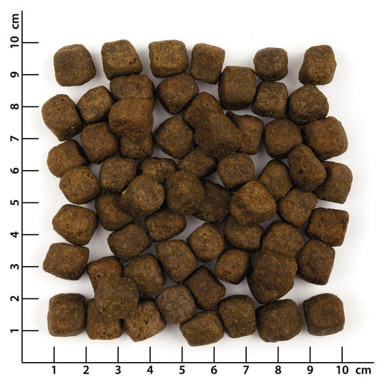 V3H7789A680976E4AC91E4052084B74D7B6R6454237P5