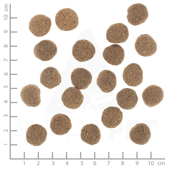 V3H101469D5C6EB8753DC1CBFC72E8FD1EFR6454415P9