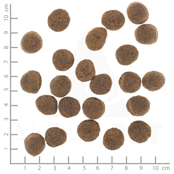 V3H7D0CBBA8D5FA6230E20A03B48F48B6F6R6454420P3