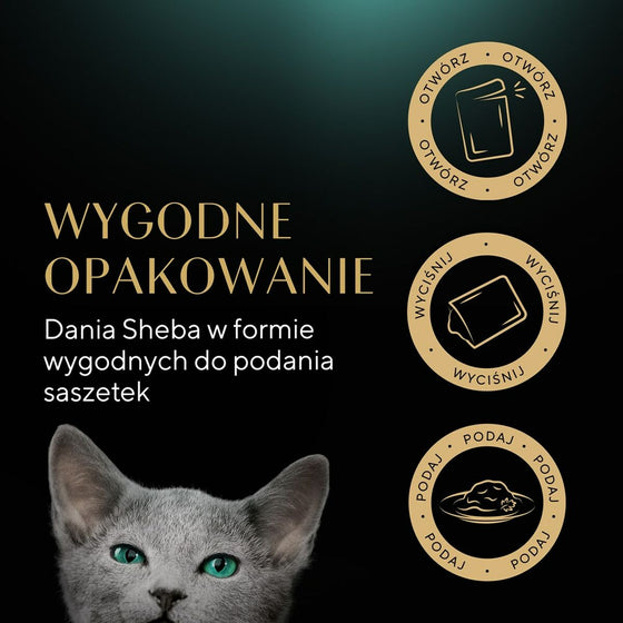 V6H06BD3342799172AE4F8ED5E49F476119R6608354P7