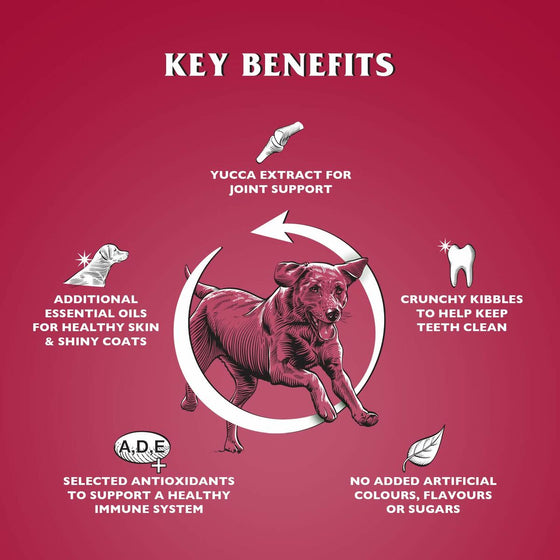 V3HE538C62AB43F611F584ED34481DB2608R6450252P2