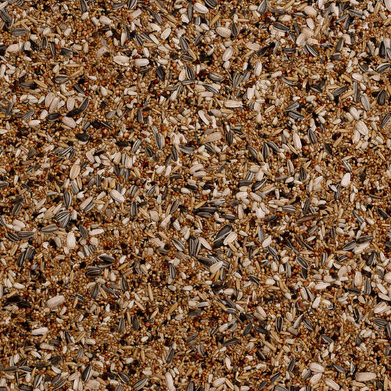 V5HCC00BD20819B33C045B31CC31BA1D26BR7444023P4