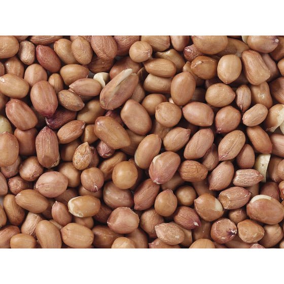 V4H36B6B0E93CA7A72E76B83BE63C00EF58R7449966P3