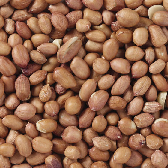 V4H3E9DA8BC80A5FF85020F48E64222327FR7449974P4