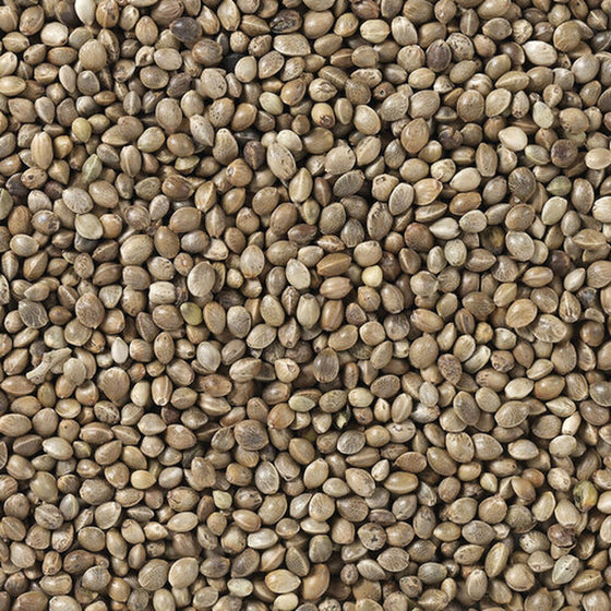 V5H39BCC0A9733A2E4DDC9CCC58BDF7271DR7449983P4