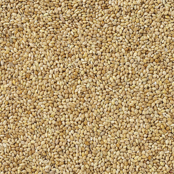 V5H2BF9156AA9C1E9E7F0FA712C40339509R7450059P4