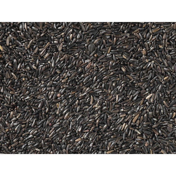 V6H22648DA9AAD5DE7D0A50C4C69AEB4CBFR7450030P3