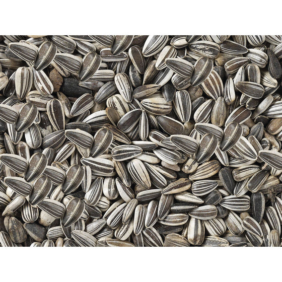 V6HB377F1DC965A6590509CBC373F7E15C7R7450078P3