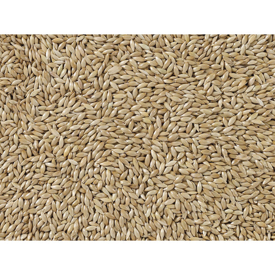 V4HC94A4E8AE24E85E3315BA7C7B66497D8R7450072P3