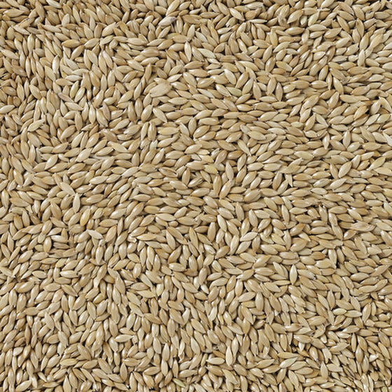 V4HEBE085DAFBADBCCF15D37C5BB3D27C73R7450073P4