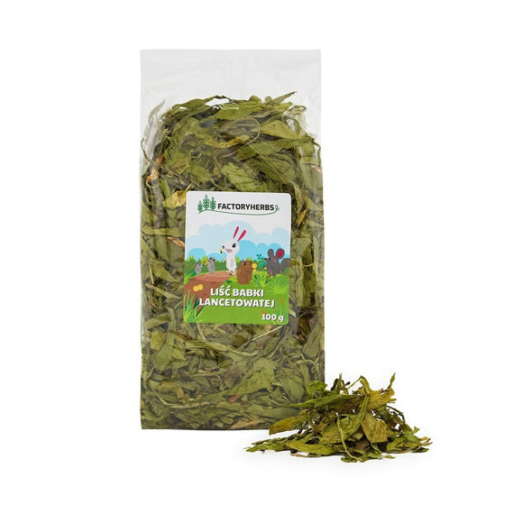 V3H7FABB322491F7F3CD7985D2545506167R5840586P1