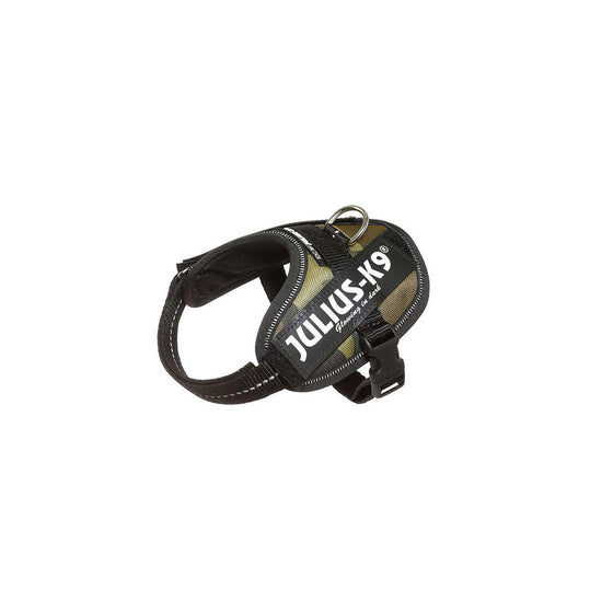 V5H78E2E8C662C883A7EA2E7000A5882F8FR7451507P6