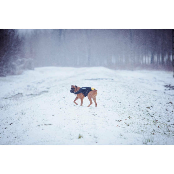 V5H4022C0BBEF08A5F2EFD3802D81FC5343R7445350P2