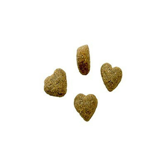 V4HE57197F5AF1368A075A5D8F800B40E9DR4930462P2