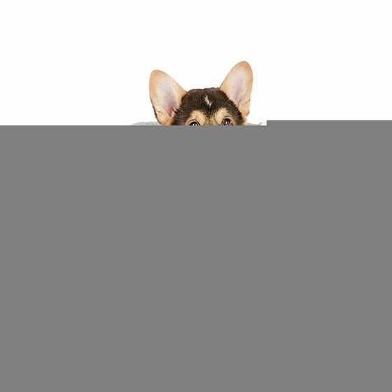 V2HEA2E6271738468B06FB1FFF7E29CB64CR5780543P5