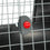 V4HC9EDF510539A6941665B2AEC6B069EA4R3735093P9