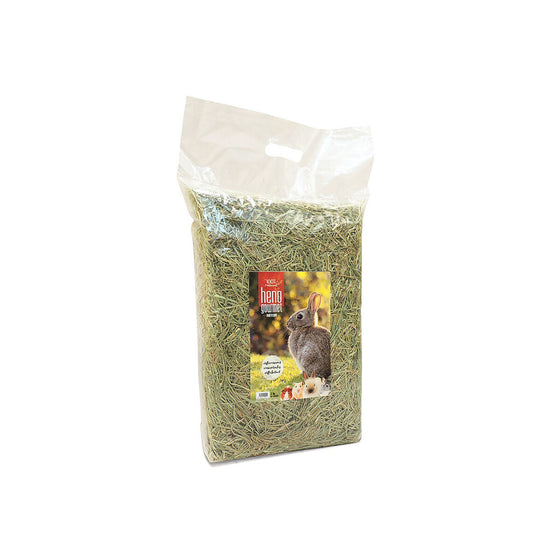 V4H2524E55588359586EBB0077C2D4733A9R7450918P1