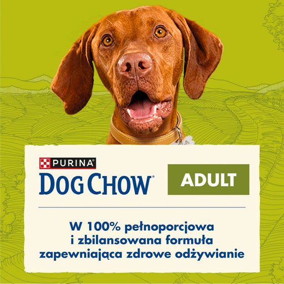 V4H1A89374C1C5929892354D71C779CF1F1R5061159P2