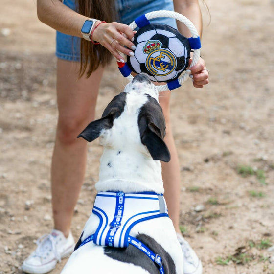 V3H16F58D1EB96EB442811E574DCE699B34R6453395P3