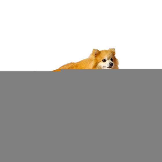 V6H2C8AAA274720952F8F3EA8C74E17A643R6412121P1