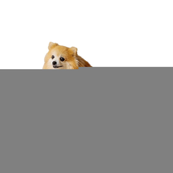 V6H26AB9775DDC063B9133A0D1820CEE902R6425870P1